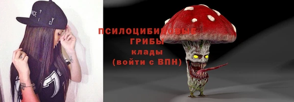 молекула духа Алзамай