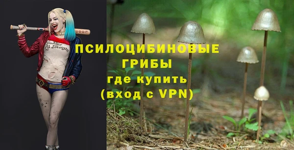 молекула духа Алзамай